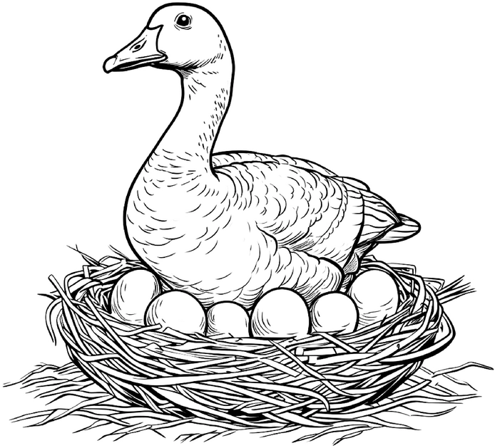 gans-im-nest-mit-eiern-malvorlage