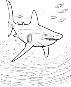 haifisch-im-wasser-ausmalvorlage