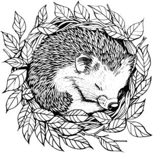 igel-in-blattwerk-malen-vorlage