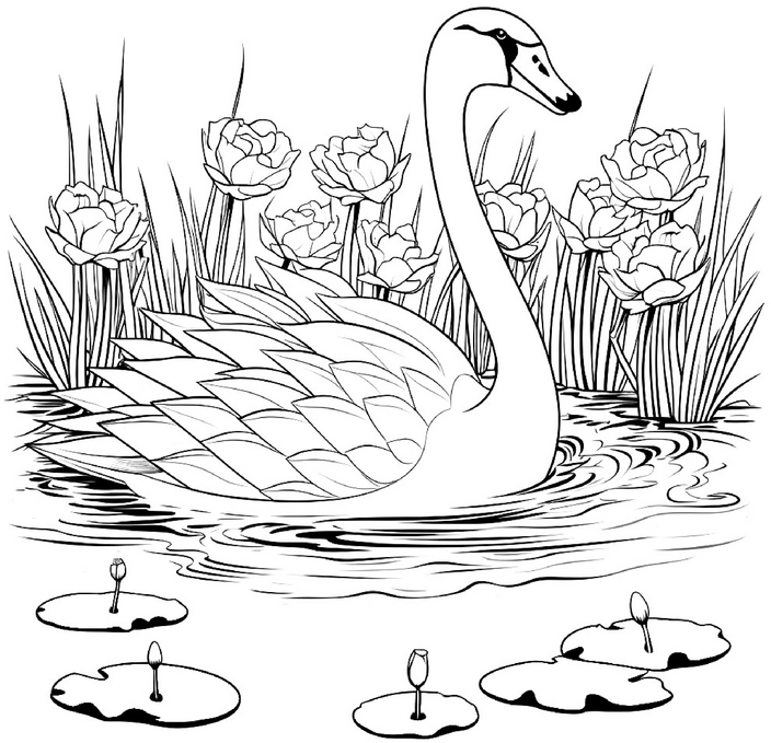 malvorlage-anmutiger-schwan-mit-blumen-und-wasserlilien