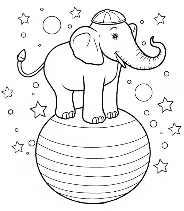 malvorlage-elefant-im-zirkus-auf-einem-ball
