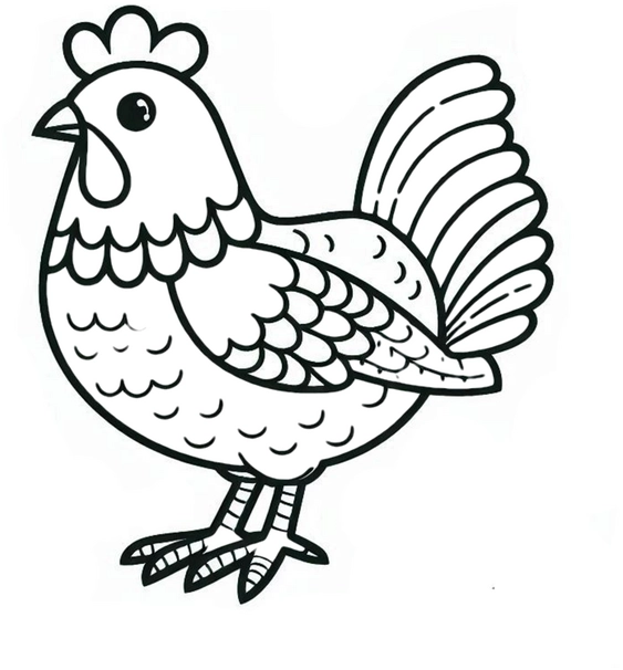 malvorlage-huhn-kreatives-ausmalen