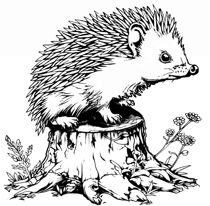 malvorlage-igel-auf-baumstamm