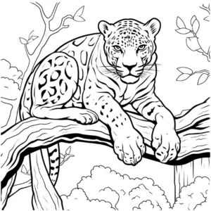 malvorlage-jaguar-auf-baum