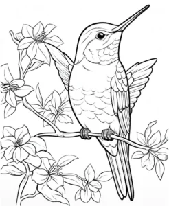 malvorlage-kolibri-blueten-ausmalbild