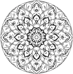 malvorlage-mandala-mit-komplexen-mustern-zum-ausmalen