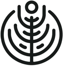 malvorlage-pflanzenmotiv-kreatives-ausmalen