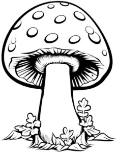 malvorlage-pilz-mit-blaettern