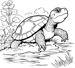 malvorlage-schildkroete-am-wasser-mit-pflanzen