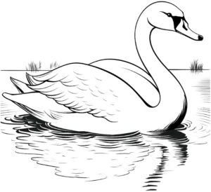 malvorlage-schwimmer-schwan-naturmotiv
