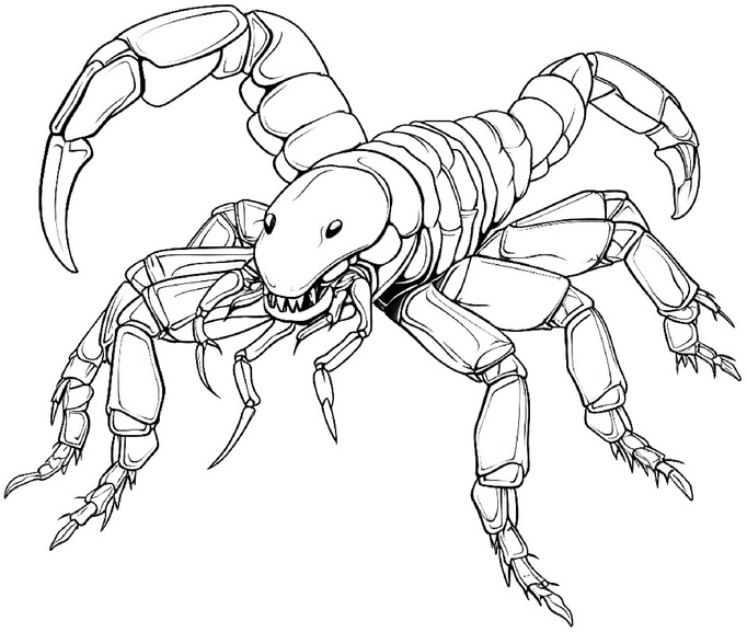 malvorlage-skorpion-ausmalbild