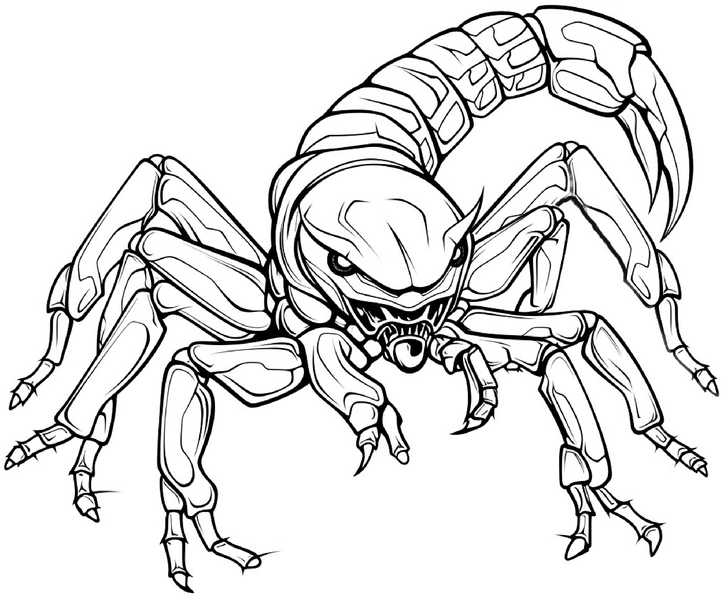 malvorlage-skorpion-zum-ausmalen