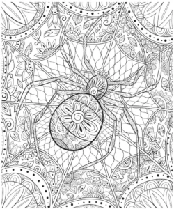 malvorlage-spinne-im-kunstvollen-netz