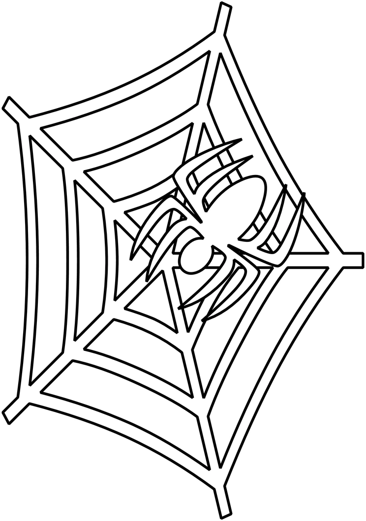 malvorlage-spinne-spinnennetz