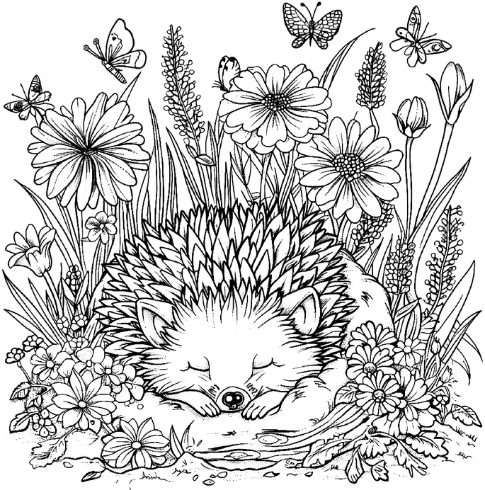 malvorlage-verschlafener-igel-in-blumenwiese