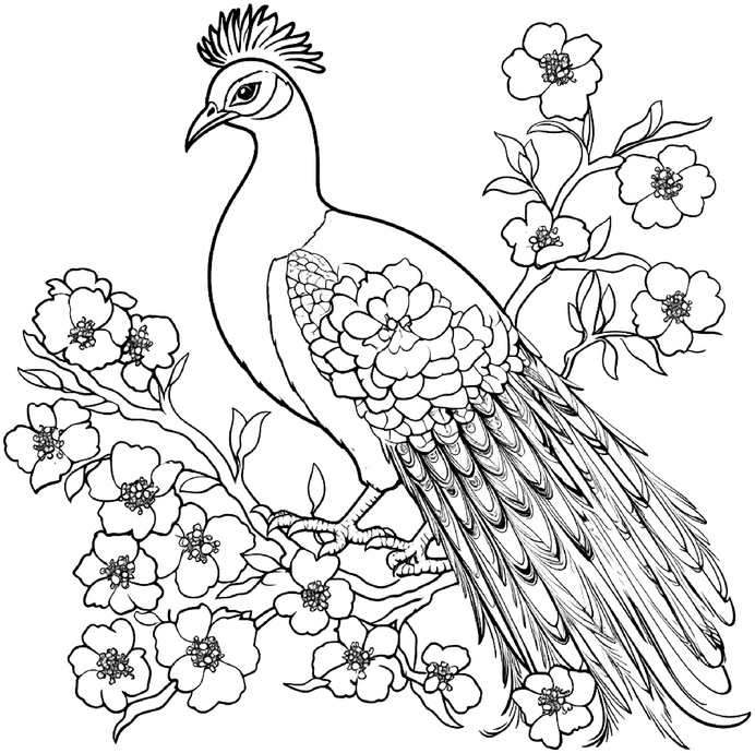 malvorlage-waldpfau-mit-blumen