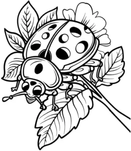 marienkaefer-und-blume-ausmalbild