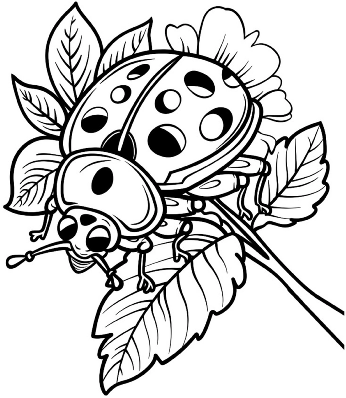 marienkaefer-und-blume-ausmalbild
