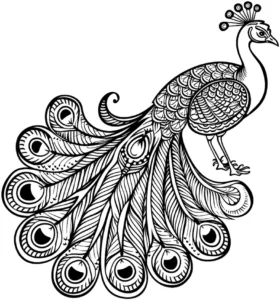pfau-mit-federkleid-ausmalen-malvorlage