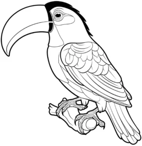 tukan-ausmalbild-kreativ-und-lehrreich